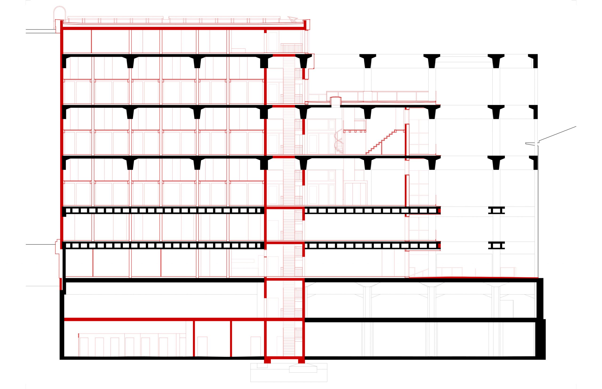 longitudinal section 1