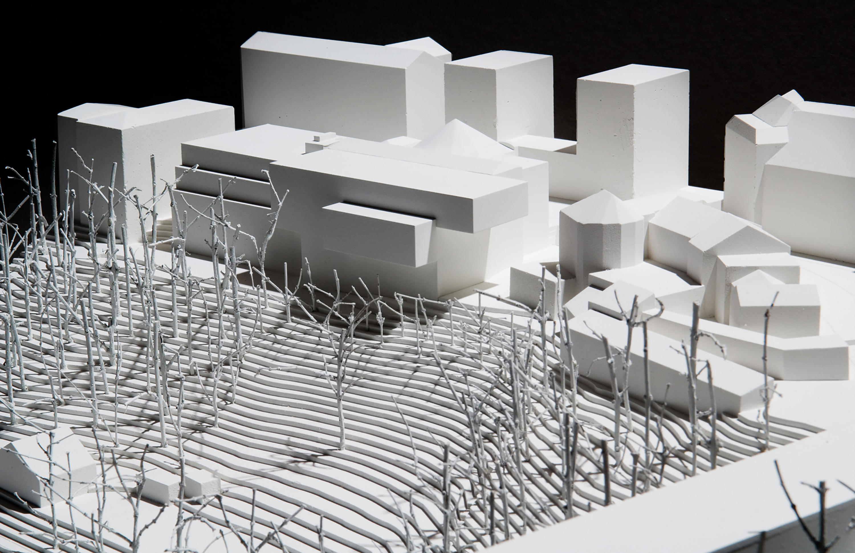 Site model