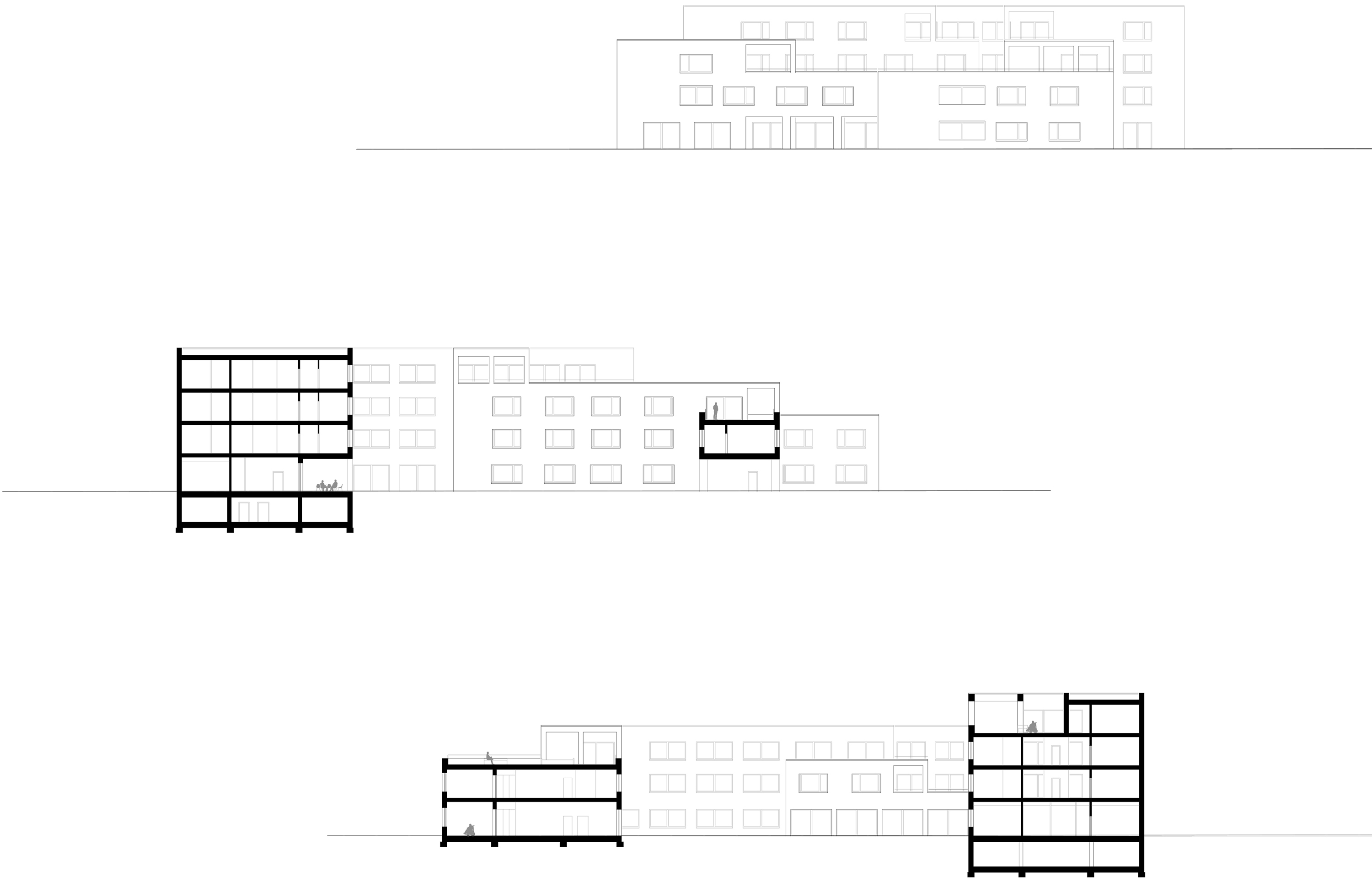 Elevation and sections