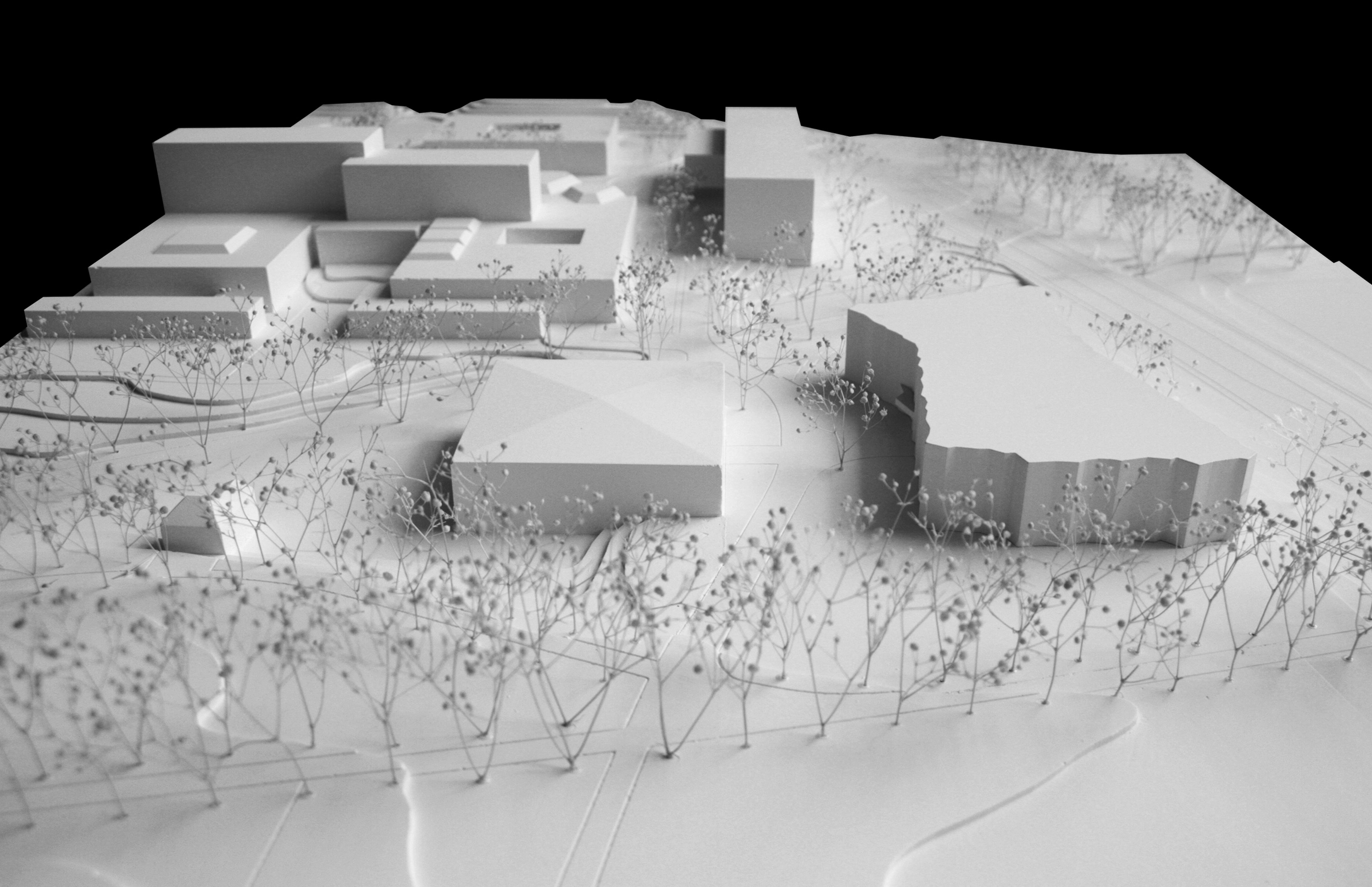 Modell Neubau Sportcluster