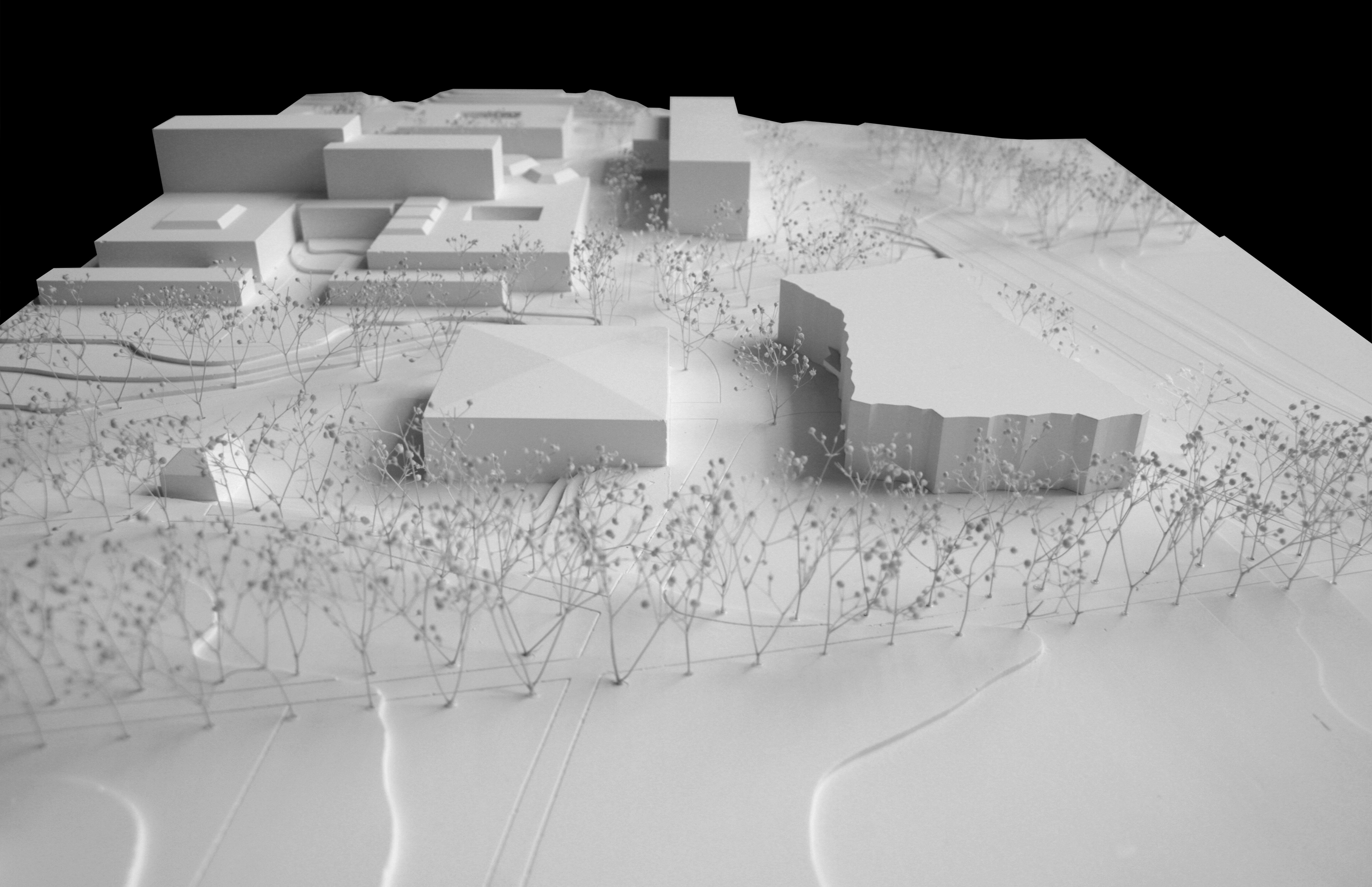 Model of new sports cluster